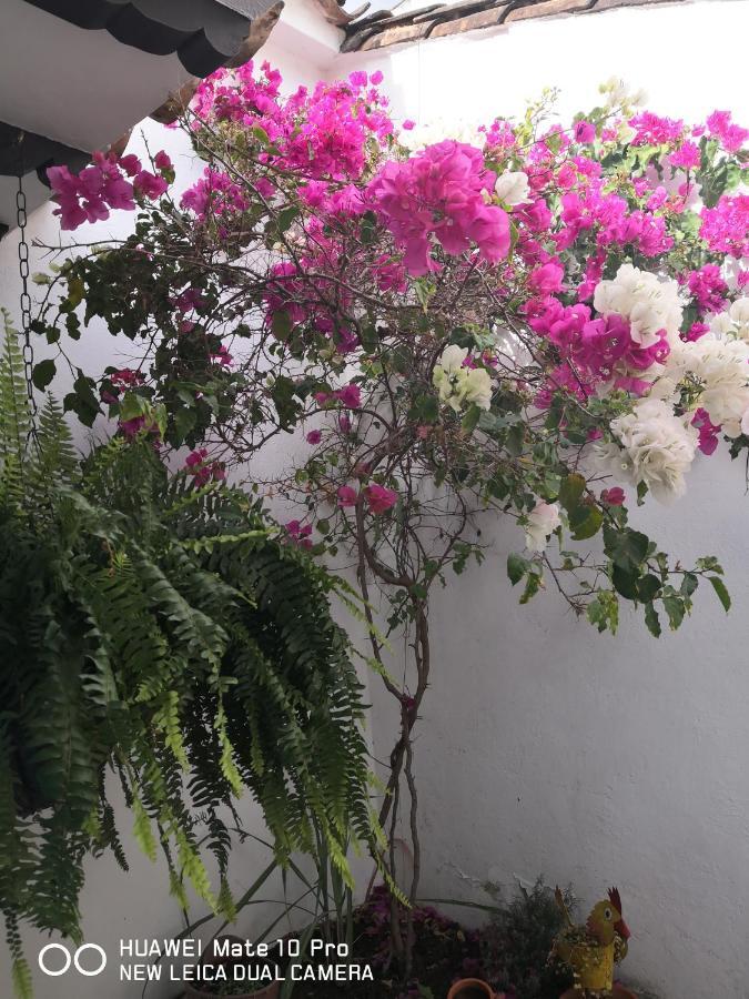 Casa Azul Leyva Holiday home *